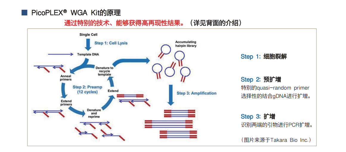 $OWGL~XMZ2%ZC}~FMDP04DY.png